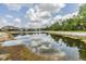 A serene pond reflects the sky and surrounding trees, enhancing the natural beauty of the area at 4716 Butler National Dr, Wesley Chapel, FL 33543