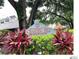 Community sign view of Charter Mill Condominiums with lush landscaping at 5203 Oak Charter Ct # 5203, Temple Terrace, FL 33617