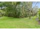 Large backyard featuring a lush green lawn, mature trees, and partial shade at 6234 Ashbury Palms Dr, Tampa, FL 33647