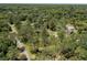 Aerial view of a scenic nature trail winding through lush greenery at 9116 Woodridge Run Dr, Tampa, FL 33647