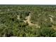 Aerial view of a scenic nature trail winding through lush greenery, perfect for walking and biking at 9116 Woodridge Run Dr, Tampa, FL 33647