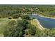 Community green space featuring a charming pond and surrounding lush, mature landscaping at 9116 Woodridge Run Dr, Tampa, FL 33647