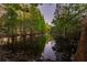 Scenic view of a reflective pond surrounded by towering trees and lush greenery, creating a tranquil setting at 9116 Woodridge Run Dr, Tampa, FL 33647