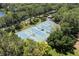Aerial view of the community tennis courts surrounded by mature trees and well-maintained landscaping at 9116 Woodridge Run Dr, Tampa, FL 33647