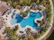 Overhead shot of a uniquely shaped pool with lounge chairs and palm trees surrounding it at 9334 Lemon Drop Loop, Sun City Center, FL 33573
