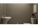 Clean, well-lit powder room featuring a modern pedestal sink and comfortable toilet at 9437 Raised Tulip Ln, Land O Lakes, FL 34637