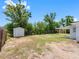 Spacious backyard featuring a storage shed, covered patio, and ample space for outdoor activities at 1213 W Camellia Dr, Brandon, FL 33510