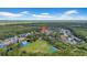 Expansive aerial shot of a community with a lush green field, recreational amenities, and surrounding wooded areas at 12510 Loquat Way, Tampa, FL 33626