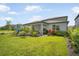 This home's backyard shows green grass, privacy landscaping and a lovely covered patio at 13157 Peachleaf Ave, Riverview, FL 33579