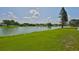A serene view of the lake, surrounded by lush greenery, offering a tranquil and picturesque setting at 2021 Elk Spring Dr, Brandon, FL 33511