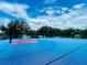 Full basketball court with blue flooring and red painted key, perfect for a friendly game with neighbors at 3501 Pine Top Dr, Valrico, FL 33594