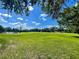 Expansive open field with lush green grass, framed by trees and a bright blue sky with scattered clouds, offers a serene landscape at 3501 Pine Top Dr, Valrico, FL 33594