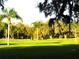Scenic view of a lush golf course with palm trees and mature oak trees at 36731 Tara Ave, Zephyrhills, FL 33542