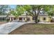 Charming single-story home featuring a mature tree, well-kept lawn, and a welcoming front porch at 4419 W El Prado Blvd, Tampa, FL 33629