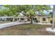 Inviting single-story home with a well-manicured lawn, large tree, and a cozy covered porch at 4419 W El Prado Blvd, Tampa, FL 33629
