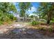 View of the backyard and exterior of home, which features a brick chimney at 605 Ronele Dr, Brandon, FL 33511