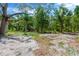 Large backyard with plenty of privacy and shade trees at 605 Ronele Dr, Brandon, FL 33511