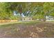 A large grassy backyard provides a private outdoor space with mature trees and ample room for recreation and landscaping at 6807 River Rd, Tampa, FL 33615