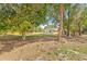 Expansive backyard with mature trees and plenty of space, offering privacy and room for outdoor activities at 6807 River Rd, Tampa, FL 33615