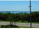 Scenic view of palm trees and ocean water in the distance at 9 Forbes Pl # 310, Dunedin, FL 34698