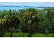 Beautiful water views from this community, featuring palm trees and distant buildings at 9 Forbes Pl # 310, Dunedin, FL 34698