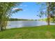 Expansive backyard featuring lush greenery, serene lake views, and mature trees at 9712 Tree Tops Lake Rd, Tampa, FL 33626