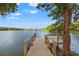Wooden dock on the lake featuring tranquil water, mature trees, and a scenic skyline at 9712 Tree Tops Lake Rd, Tampa, FL 33626