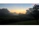 Scenic sunrise view of the lush and expansive landscape at 11434 Leland Groves Dr, Riverview, FL 33579