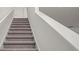 Carpeted stairs lead to the upper level of the home, featuring a white railing and trim at 1829 Draughton Dr, Zephyrhills, FL 33541