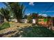 Lush backyard with mature bamboo and decorative fence art at 2020 58Th N Way, Clearwater, FL 33760