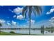 Breathtaking lake view with a palm tree in the foreground, capturing the tranquility of the waterside setting at 2957 Hickory Grove Dr, Valrico, FL 33596