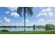 Scenic lake view framed by a palm tree, showcasing the serene natural beauty of the community at 2957 Hickory Grove Dr, Valrico, FL 33596