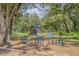 Community playground nestled among mature trees, offering a fun and safe space for children at 2957 Hickory Grove Dr, Valrico, FL 33596