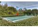 Shuffleboard court offers a fun recreational activity within the community at 31349 Philmar Ln, Wesley Chapel, FL 33543