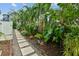 Garden path with lush landscaping, including palm trees and tropical plants at 535 6Th N St, St Petersburg, FL 33701