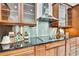 Gourmet kitchen features stainless steel appliances, sleek black countertops, and stylish wood cabinetry at 710 W Peninsular St, Tampa, FL 33603