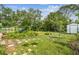 Large backyard with green grass, plants, mature trees, garden boxes, and shed at 7219 4Th N Ave, St Petersburg, FL 33710