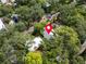 A bird's-eye view of a charming home nestled among mature trees in a peaceful neighborhood at 844 10Th S Ave, St Petersburg, FL 33701