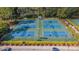 Aerial view of pickleball courts with blue playing surface and green border surrounded by landscaping at 9418 W Park Village Dr # 105, Tampa, FL 33626