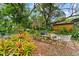 Private backyard with mature trees and landscaping at 9602 N Rome Ave, Tampa, FL 33612