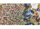 Aerial view of home surrounded by colorful trees at 11620 Eastern Star Ct, New Port Richey, FL 34654