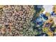 Aerial view of house with vast tree coverage, surrounded by vibrant foliage, creating a scenic and secluded property at 11620 Eastern Star Ct, New Port Richey, FL 34654