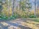 Beautiful backyard showing lush greenery and trees, providing a serene and private setting at 11620 Eastern Star Ct, New Port Richey, FL 34654
