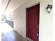 Exterior front door of the unit, adjacent to the entry walkway at 11705 Raintree Village Blvd # C, Temple Terrace, FL 33617