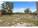 View of a spacious backyard with a wooden fence and a small concrete patio at 13238 Asbury St, Spring Hill, FL 34609
