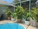 Screened in pool area with tropical plants adding to the ambience at 13807 Eagles Rock Ct, Hudson, FL 34667