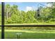 Backyard view of the pond with lush greenery, providing a serene outdoor space at 1669 Ludington Ave, Wesley Chapel, FL 33543