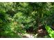 A lush backyard has dense green shrubbery and a small tree providing a tranquil space at 1855 Briland St, Tarpon Springs, FL 34689