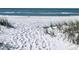 A serene beach scene with soft white sand, gentle waves, and natural dune vegetation at 1861 Royal Oak E Pl, Dunedin, FL 34698