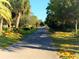 A paved walking path framed by lush greenery and sunny yellow flowers, creating a tranquil outdoor space at 1861 Royal Oak E Pl, Dunedin, FL 34698